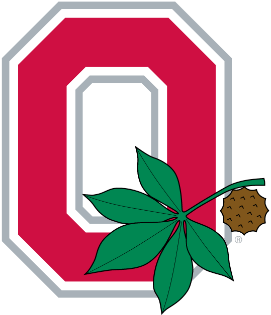 Ohio State Buckeyes 1968-Pres Alternate Logo v2 iron on transfers for fabric...